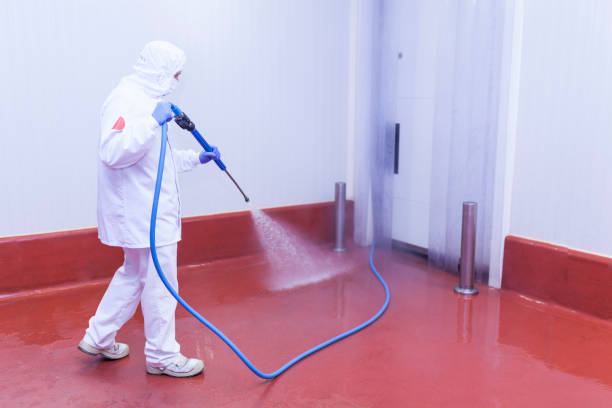 Best Factory Floor Cleaning  in Webster, TX